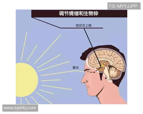 个性化光照疗法助力时差反应调节褪黑激素与生物钟快速适应